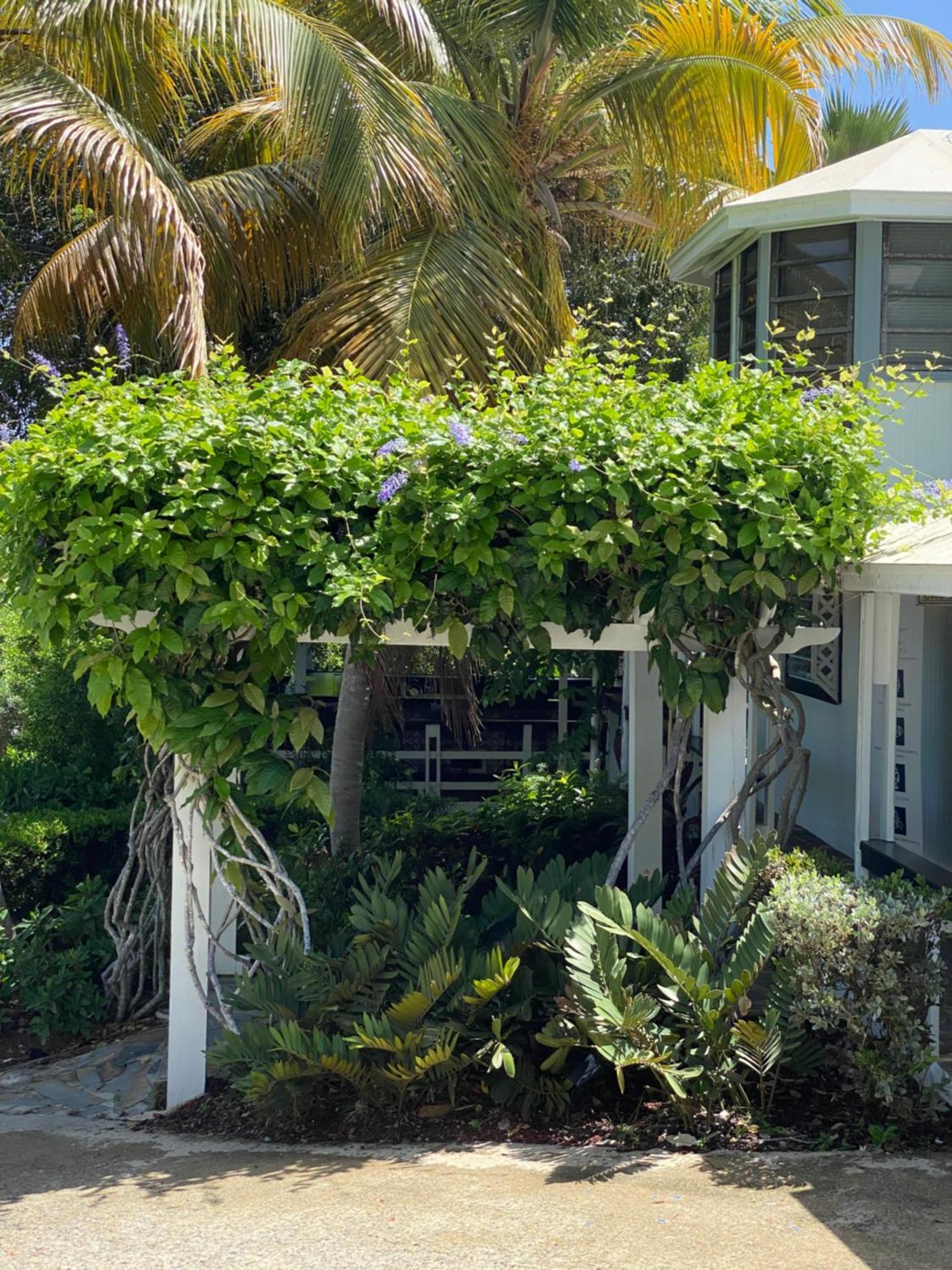 Club Seabourne Hotel Isla Culebra Kültér fotó